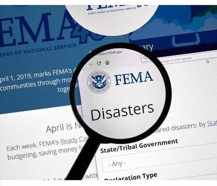FEMA Website